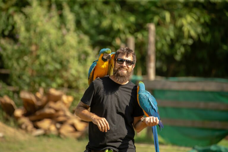 Bearded man outdoors with two vibrant macaws on his shoulders.